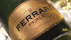 Ferrari再获“全球最佳起泡酒品牌” 意大利三大起泡酒产区获奖名单出炉