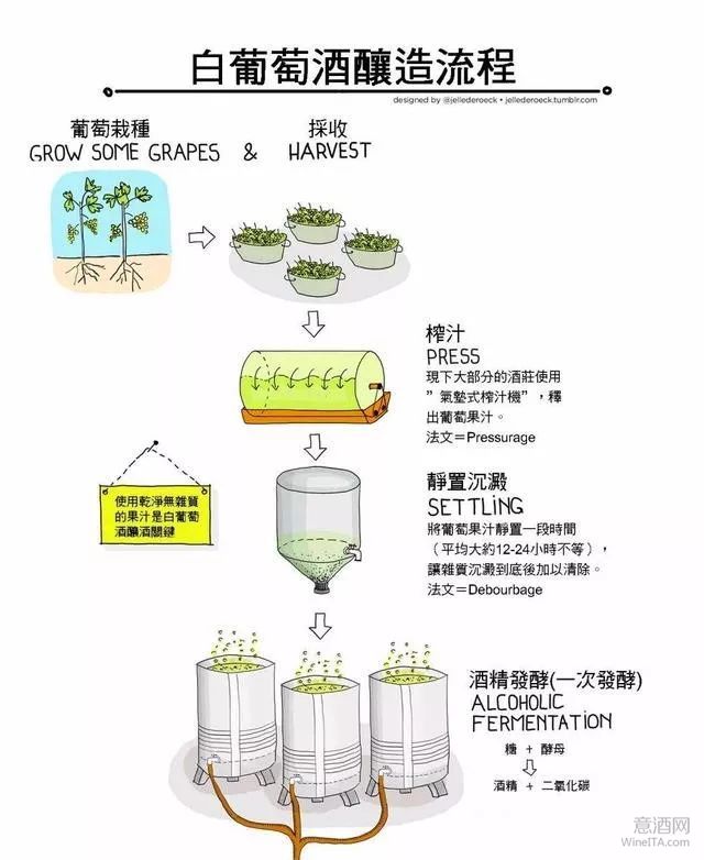 白葡萄酒的酿造方法，了解一下