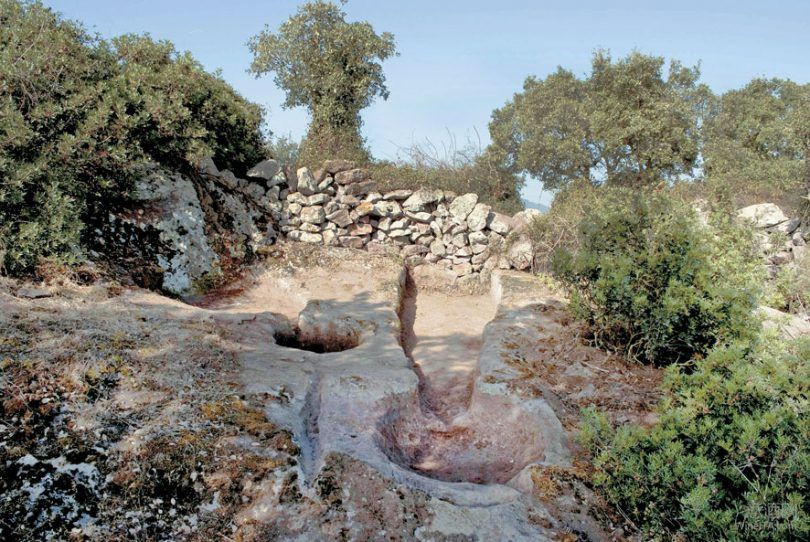 意大利撒丁岛发现史前葡萄酒酿造遗迹