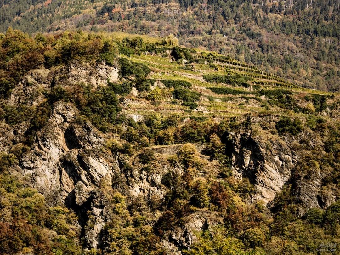 伦巴第,内比奥罗,Valtellina,瓦泰利纳,冬奥会,米兰