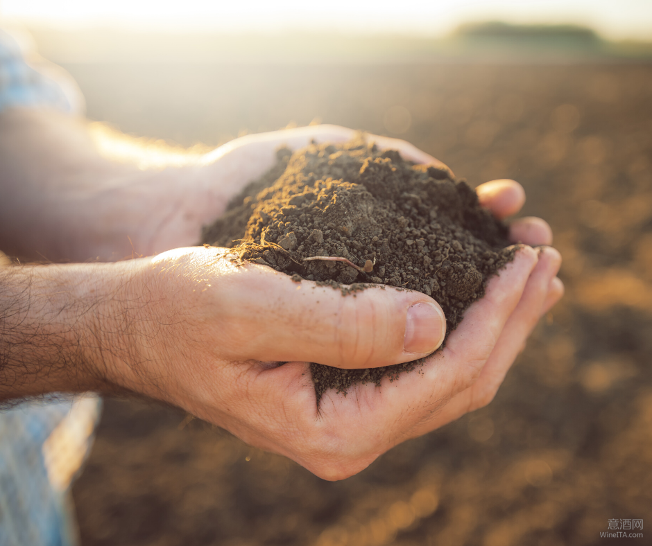 技术贴 | 风土风土 浅析土壤与
的多维关系