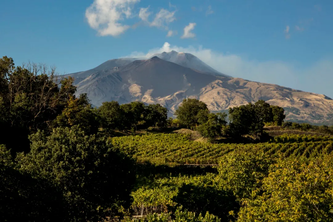 法定产区 | 严格限制新增葡萄园面积 Etna DOC埃特纳火山酒将升级为DOCG保证法定产区